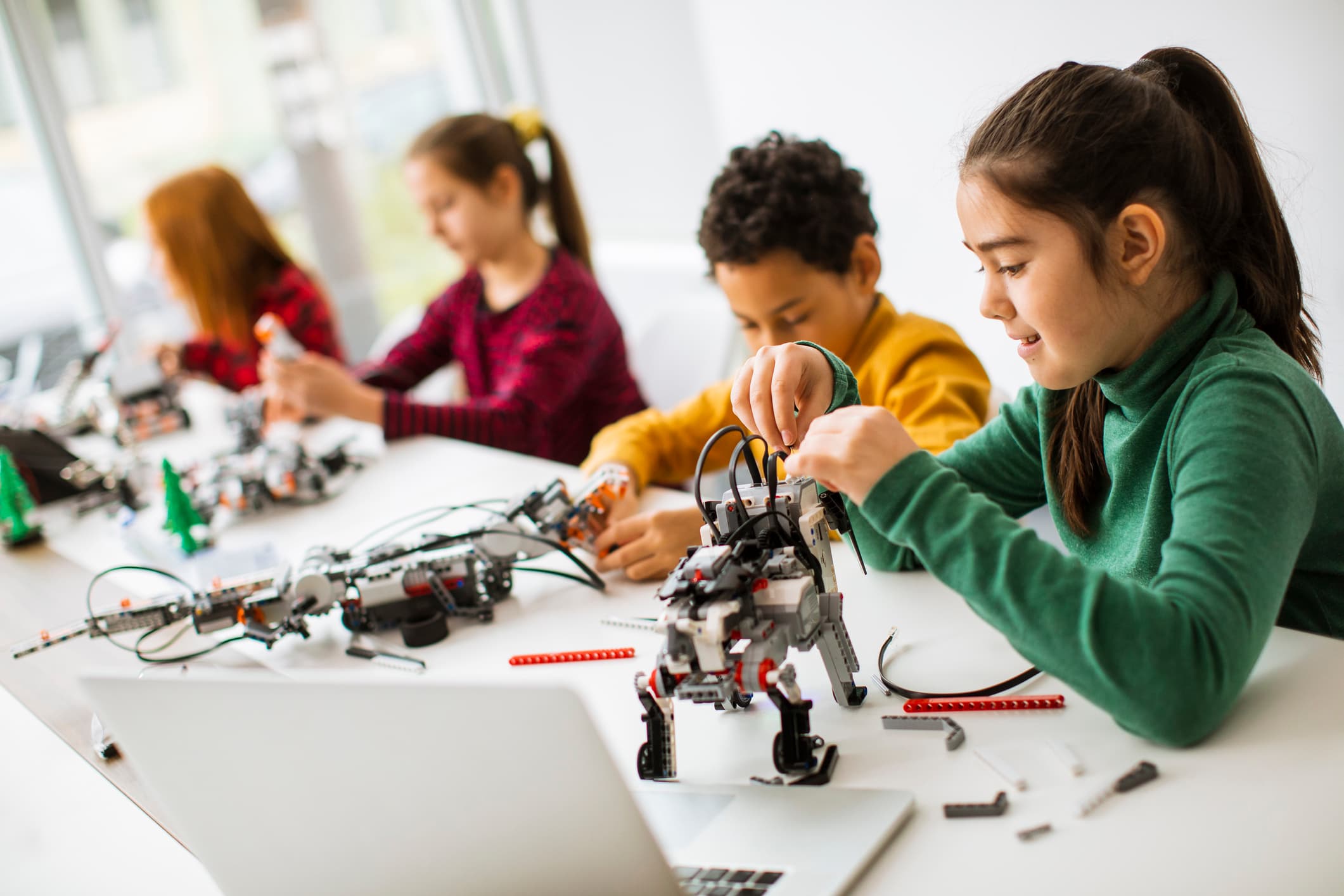 Build Your Own Robot Section 3 (Grades 3-5)